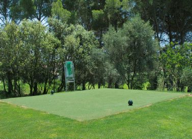 artificial golf tees