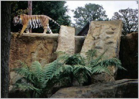 Safari themed mini golf course builders